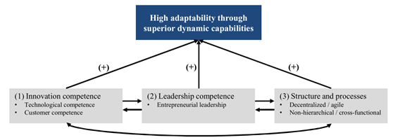 Determinants of dynamic capabilities